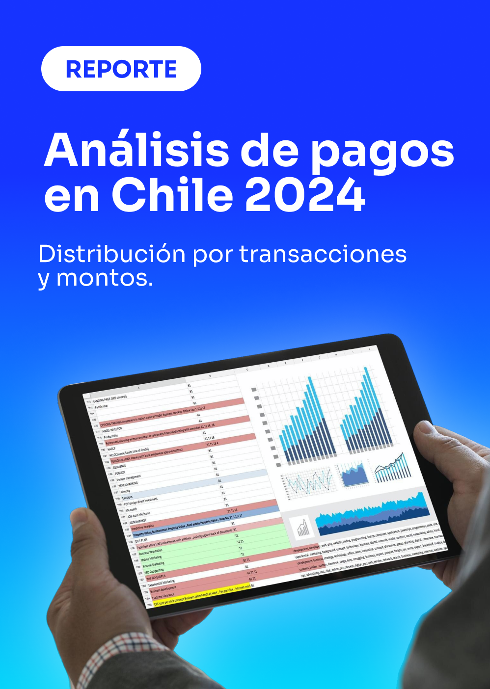 Reporte análisis de pagos en Chile 2024